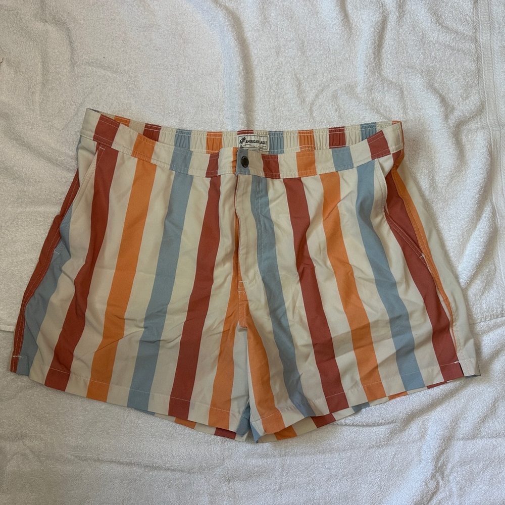 American Eagle Striped Swim Trunks